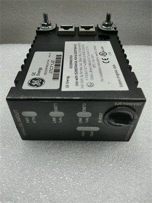 General Electric IS220PAICH1B handle analog input signals