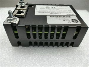 General Electric IS220PAICH1B handle analog input signals