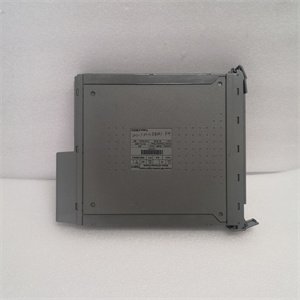ICS Triplex T8461C Digital Output Module