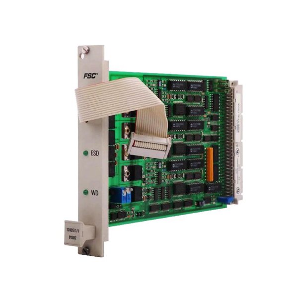 Honeywell 10005/1/1 Watch Dog Module