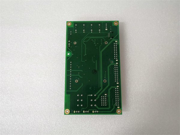 General Electric IS200AVGAG1A Entry-Level Analog Voltage Input Module