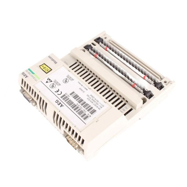 Schneider 170BAM09600 Analog I/O Module