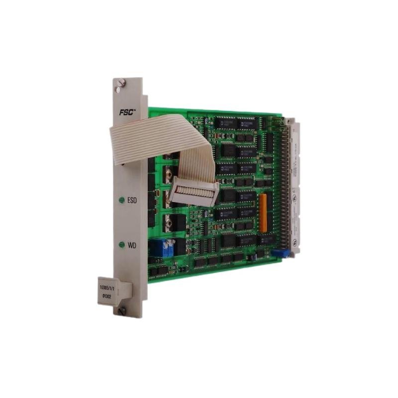 Honeywell 10005/1/1 Watch Dog Module