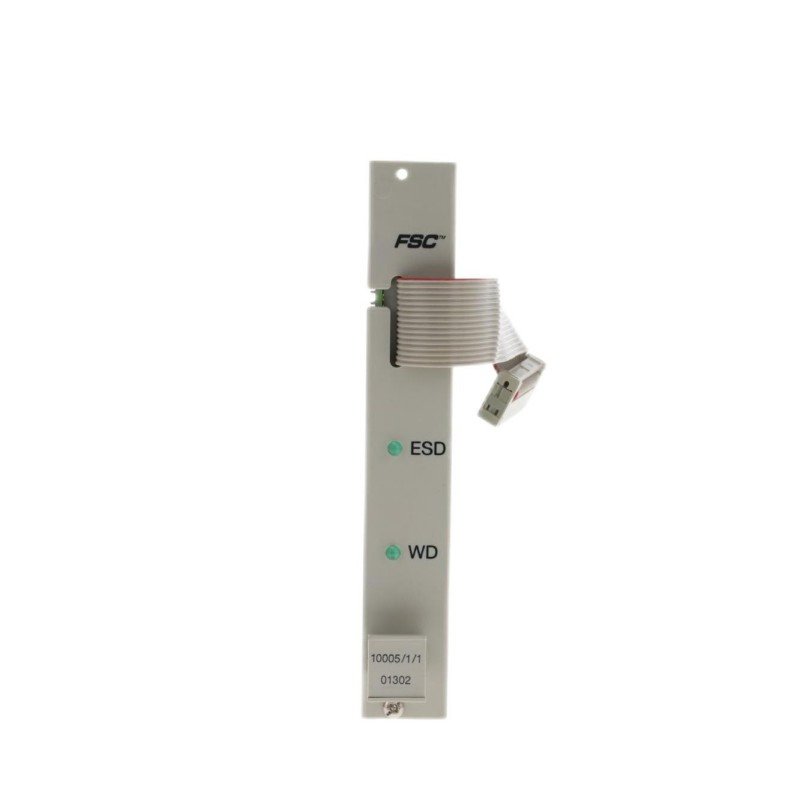 Honeywell 10005/1/1 Watch Dog Module