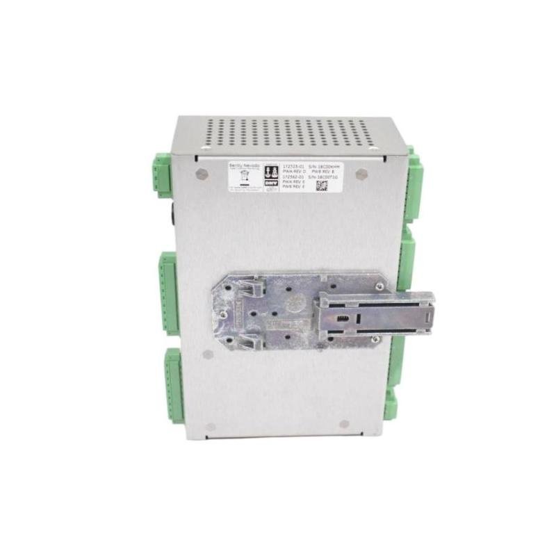 Bently Nevada 1900/65A-00-00-01-00-00 Universal Equipment Monitor