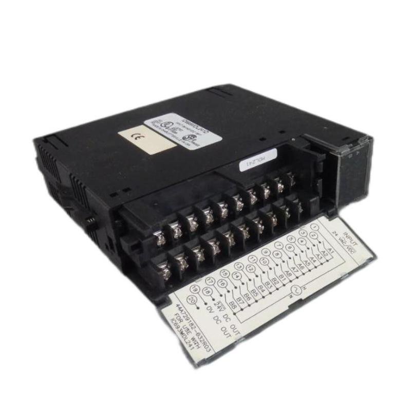 GE Fanuc IC693ACC300D Input Module