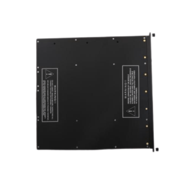 Triconex 3614E Module monitoring DO components