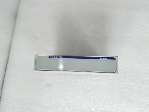 Emerson 1C31116G05 Advanced I/O Module