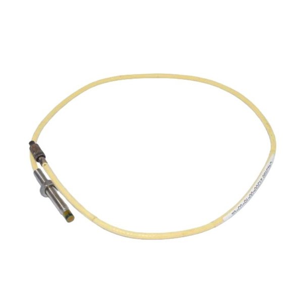 Bently Nevada 21500-00-12-05-02 7200 5mm Probe