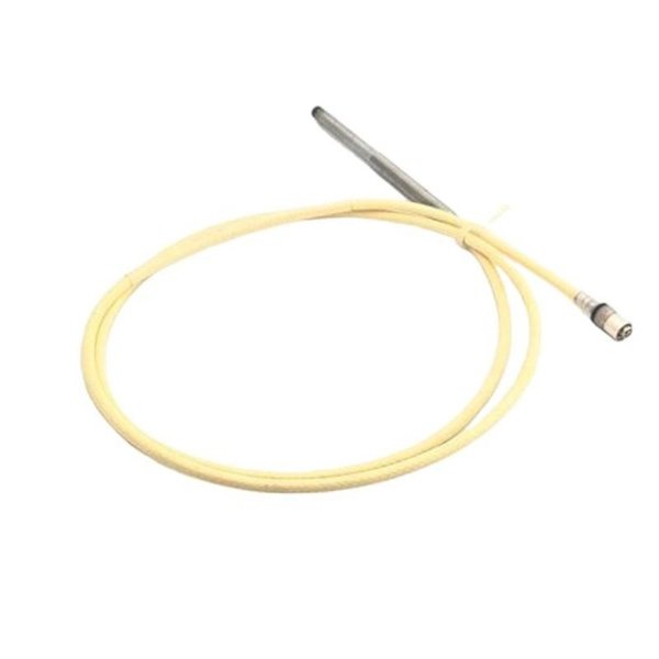 Bently Nevada 21500-00-12-10-02 7200 5mm Probe