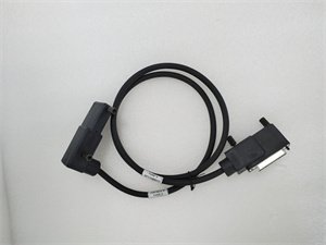 Foxboro P0916DV Interface Module