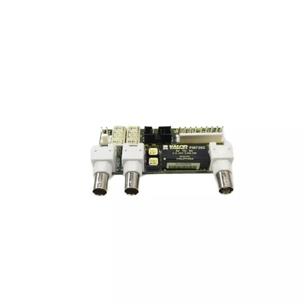 General Electric DS200AAHAH1A Analog Input Module