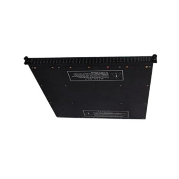 Triconex 3000142-220 Power Module