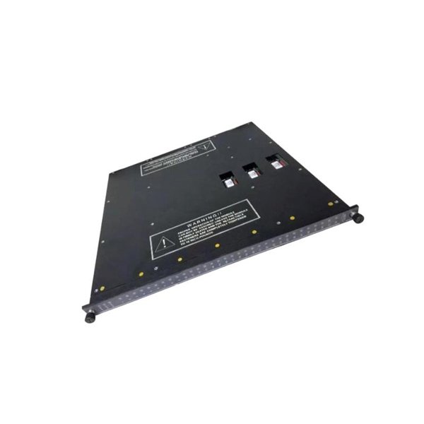 Triconex 3674 Digital Output Module