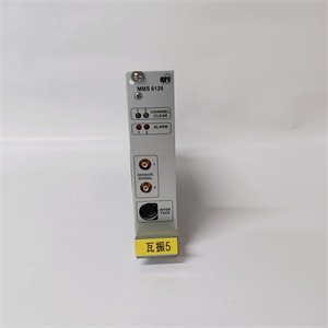 Epro MMS6120-9100-00002-10 Machinery Protection System Controller