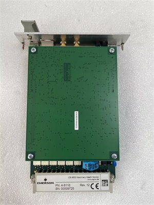 Emerson A6110 9199-00001 analog input module