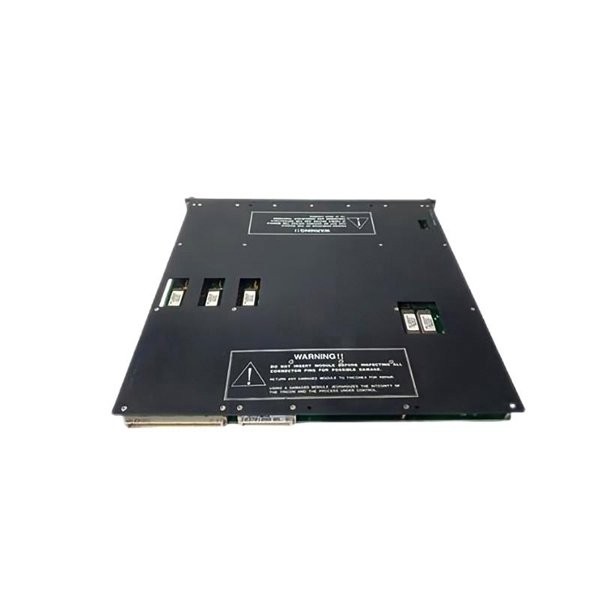 Triconex 4119 Enhanced Intelligent Module