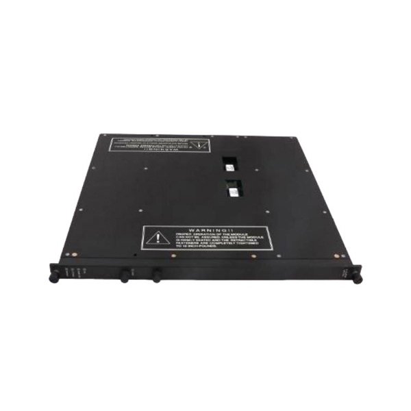 Triconex 4210 Remote Extender Module