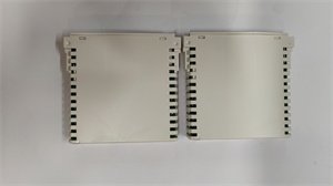 ABB AI930 Analog Input Module