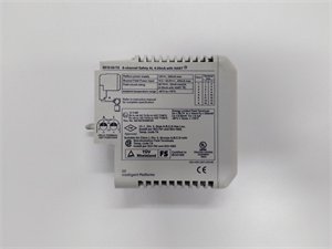 General Electric 8810-HI-TX-01 Digital Input/Output and Signal Conversion Module