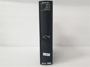 Triconex 3351 analog input module