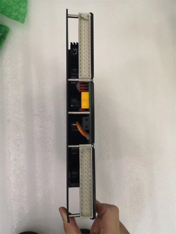 Triconex PM6301A power module