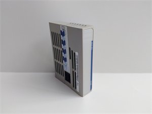 Emerson 1C31116G04 high-density workhorse DI module