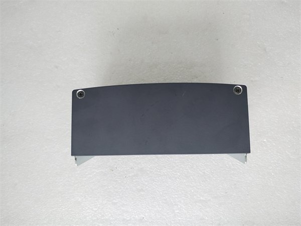 Bachmann DPM200 DIN-Rail Power Supply Module