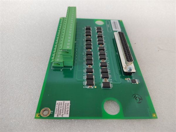 General Electric IS200SRTDH2A Safety RTD Temperature Monitoring Module