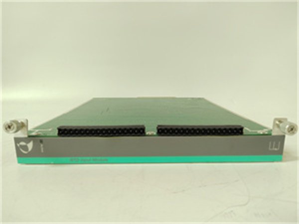 METSO IOP303 2-Channel Analog Input Module