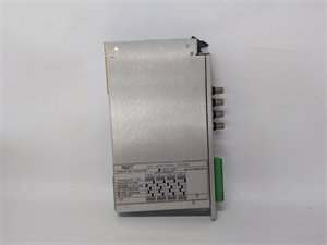 Bently Nevada 132419-01 Relay output module