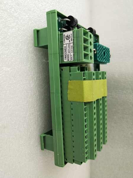 Triconex 9771-210 Digital Output Module