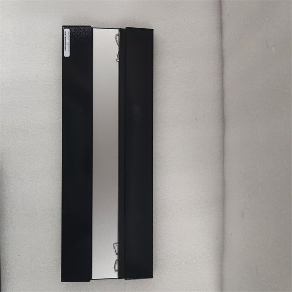 Bachmann BS206 16-Channel Analog Input Module