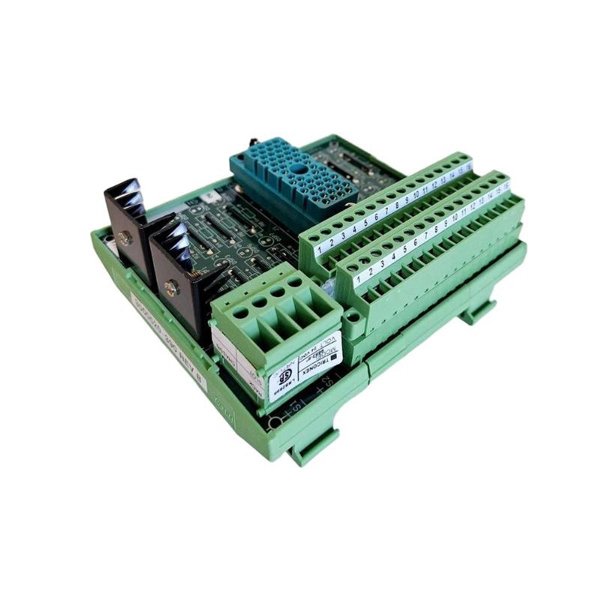 Triconex 7400165-510 Terminal Panel Modules