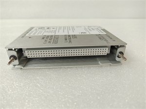 Bently Nevada 125840-01 High Voltage AC Power Input Module