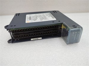GE Fanuc IC695ALG708 Analog Input Module