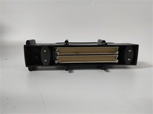 Triconex 2000417 Terminal Block Module