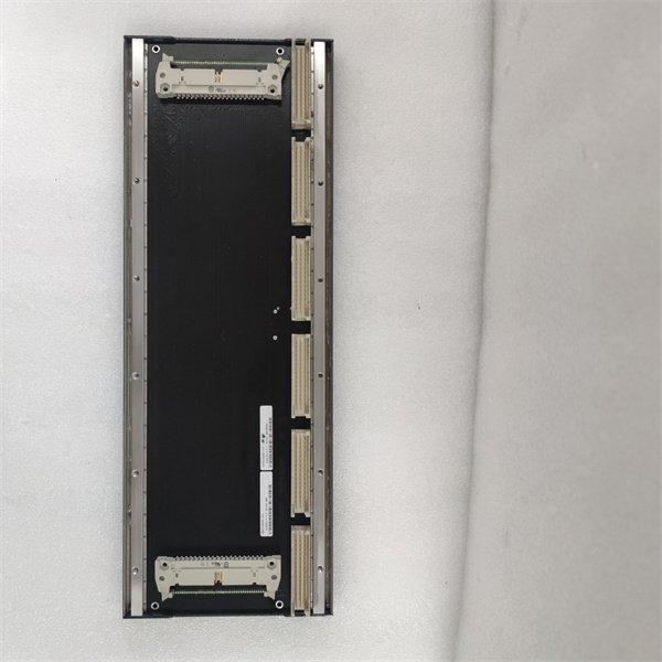 Bachmann BS206 16-Channel Analog Input Module