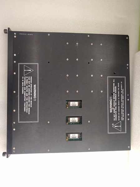 Triconex 3607E analog input module