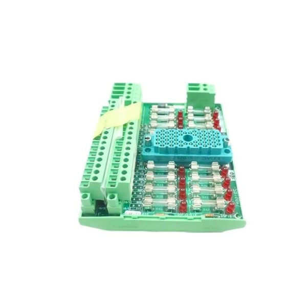 Triconex 9543-810 7400165-380 Digital Input Termination Panel