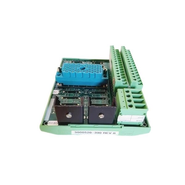 Triconex 9562 3000520-390 Terminal Panel Module