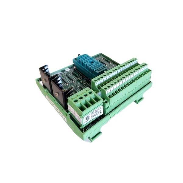 Triconex 9562 3000520-390 Terminal Panel Module