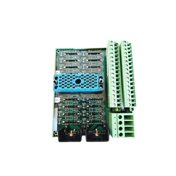 Triconex 9562 3000520-390 Terminal Panel Module