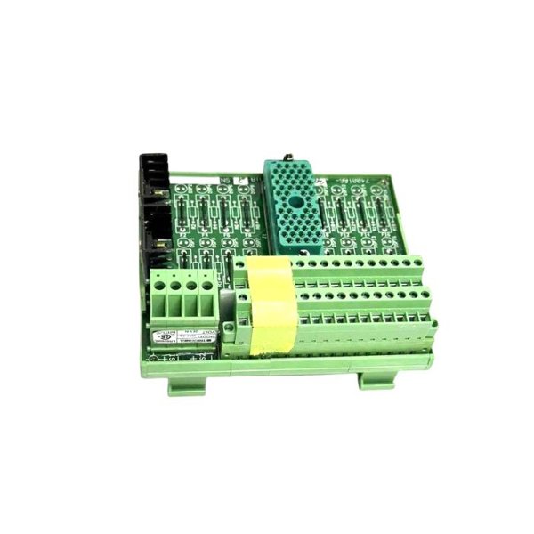 Triconex 9562 7400165-280 Terminal Panel Module