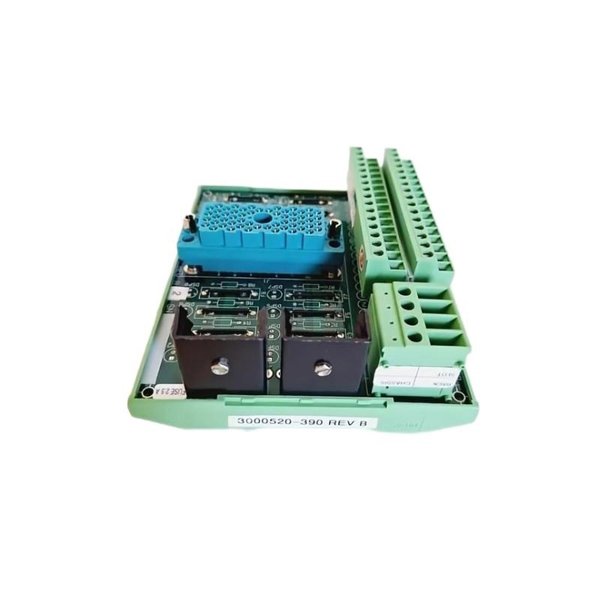 Triconex 9662-610 7760050028 DO Term Panel