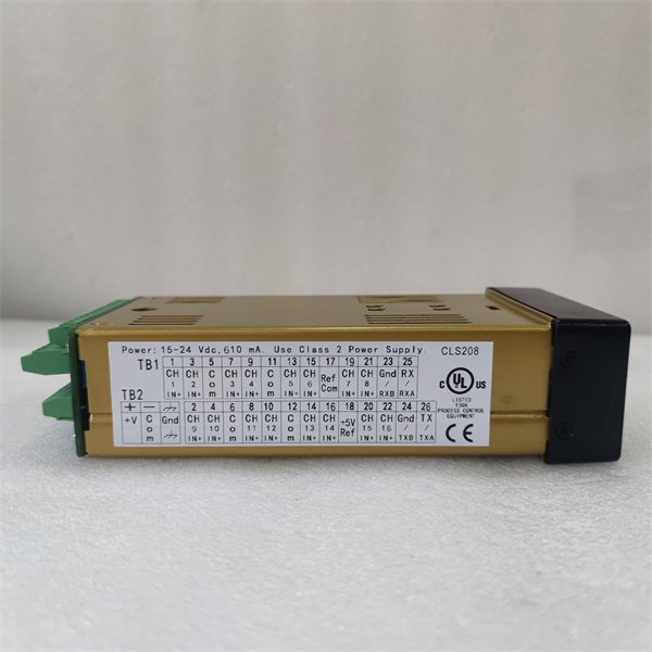 Watlow ANAFAZE CLS208 208-C10000CA temperature controller
