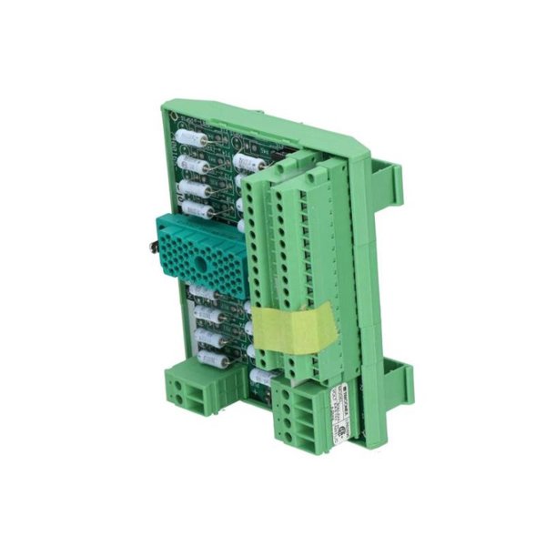 Triconex 9761-210 7400165-510 Terminal Panel Module