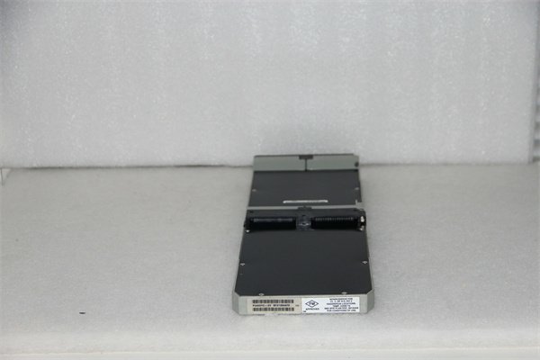 Foxboro FBM04 Analog Output Module