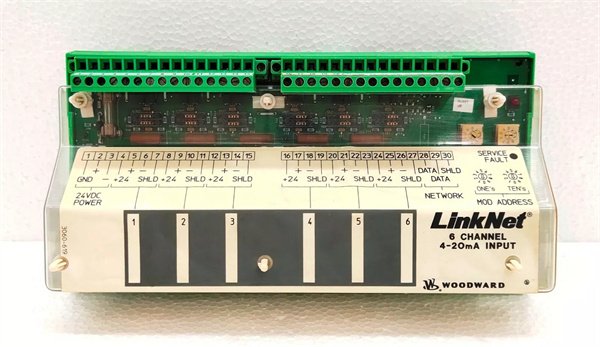 Woodward 9905-969 6-Channel Analog Input Module