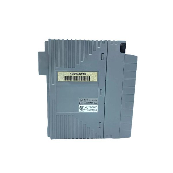 Yokogawa AAI141 Analog Input Module
